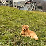 Il Nido Del Colibri *