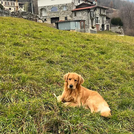 Il Nido Del Colibrì *