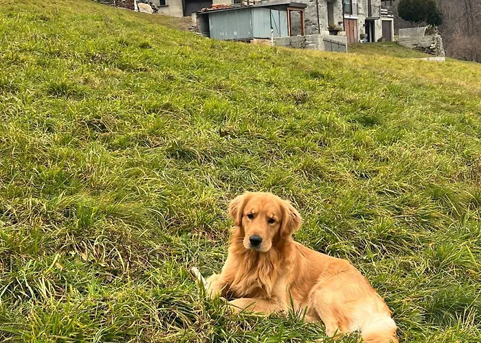 Il Nido Del Colibri *